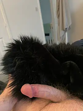 Furdaleのウェブカメラショー