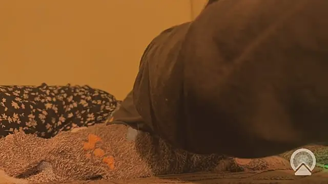 Feloraa 现场XXX聊天