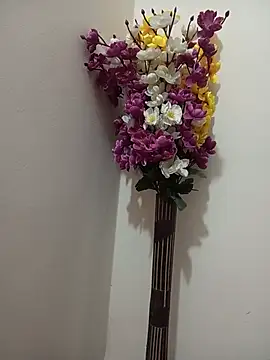 Tanha18 Adlı Modelin Canlı XXX Sohbeti