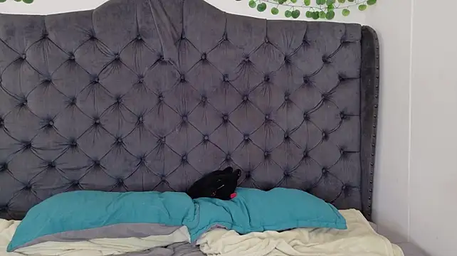 Chatroom XXX en direct de rosse_dredd
