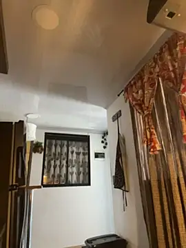 FreszX 现场XXX聊天