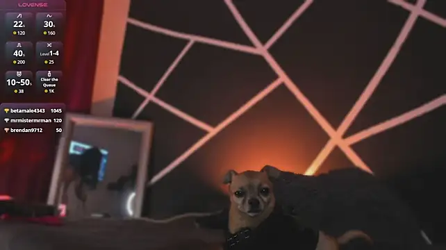 Živý XXX chat miiaa_stone