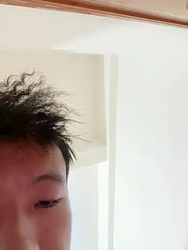 Mr_iphone11 网络视讯表演