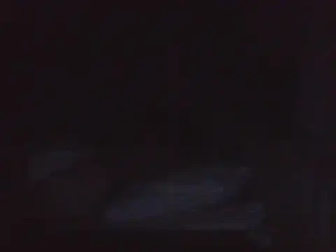 kikodaf1 webkamerás műsora