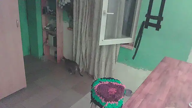 osanu_kage's Webcam Show