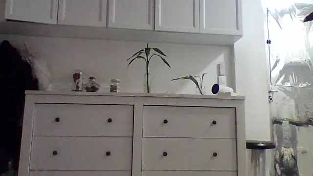 Chat XXX ao vivo de sarmidai