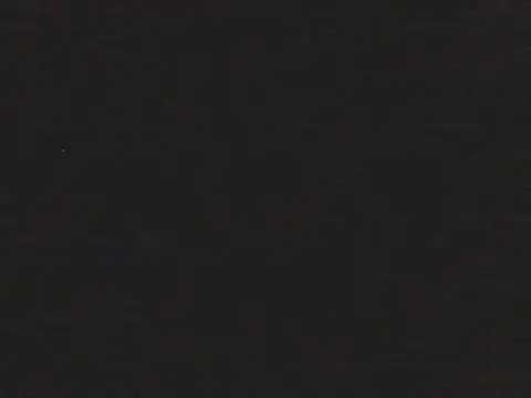 shugabaibe live XXX chat