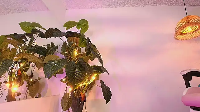 Victoria_Adams14 现场XXX聊天