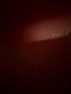 عرض كام Lillylolo