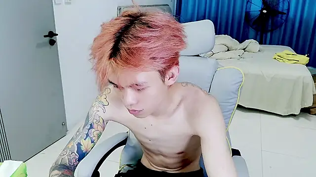 KPL-11 Webcam-Show
