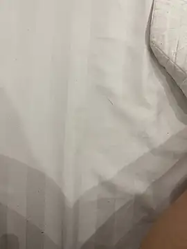 Shimiken9x Show Webcam