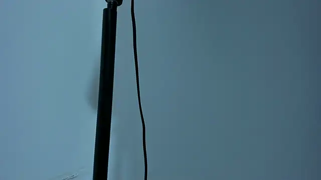 Bruno_fox's Live XXX Chat