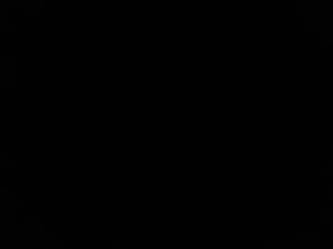 Blkstylion Pertunjukan Webcam