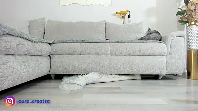 AmaliaNilsson_ Chat XXX in diretta