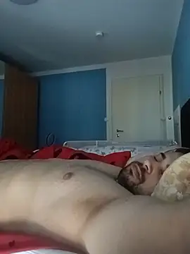 Philipcr32 Webcam-Show