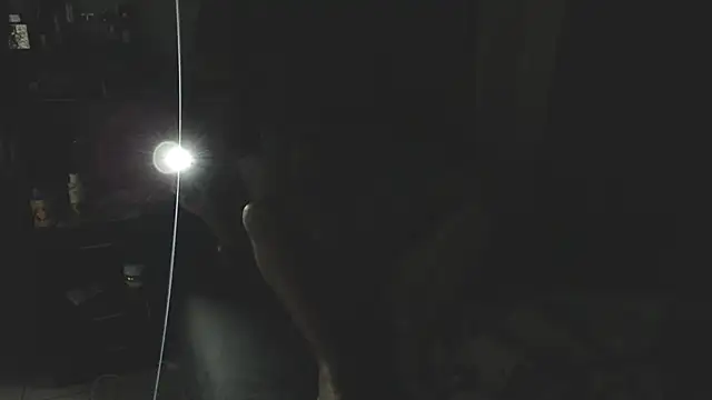 Show Webcam de Brisbear