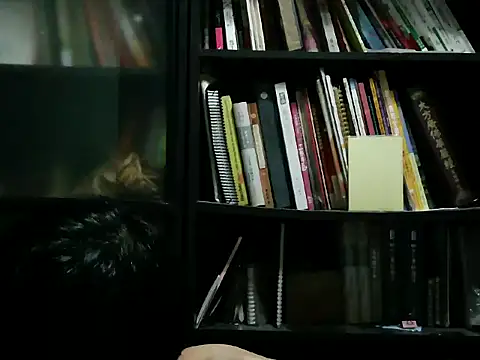 دردشة Lv8763 الجنسية المباشرة