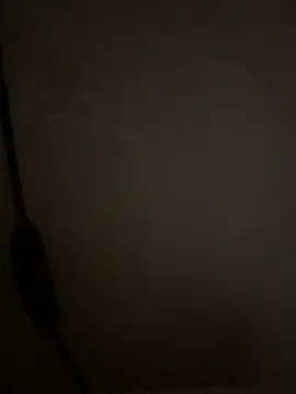 SanAnthony 网络视讯表演