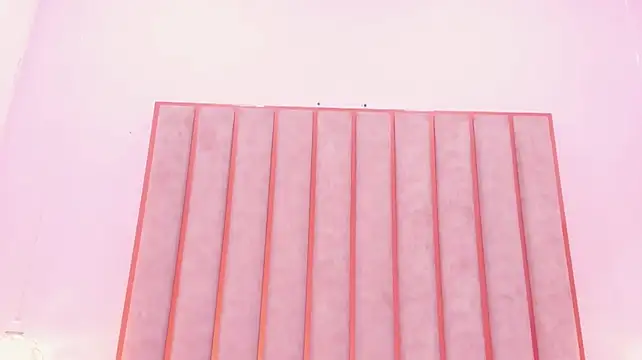 Zoe_Monrow 即時 XXX 聊天