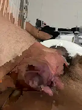 Show webcam de ELN-3