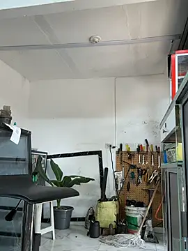 צ'אט XXX בשידור חי של Paul22cm-
