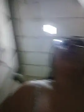 Danelyhit – Naživo XXX chat