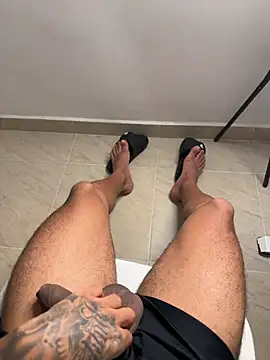 sendfer 라이브 XXX 채팅