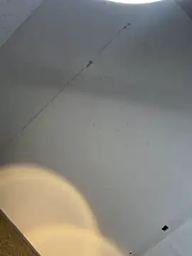 Chat XXX Live GenesisBlaze