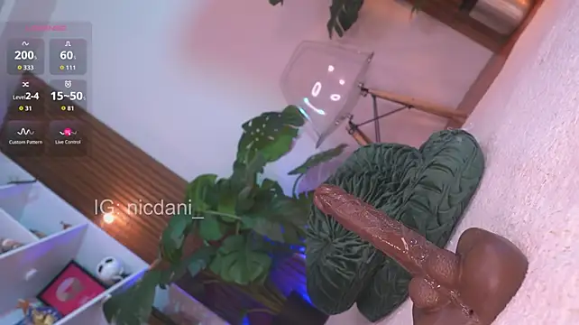 צ'אט XXX בשידור חי של nicdani_1