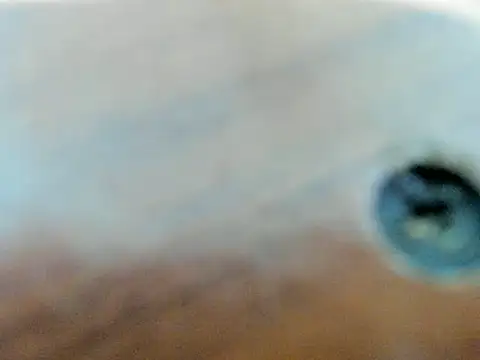 Chat +18 de david_plein ao vivo