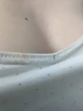 PUNAM456 라이브 XXX 채팅