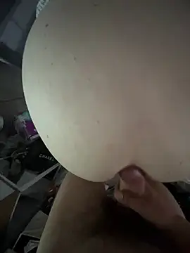 Show de PayForThePaddy na webcam