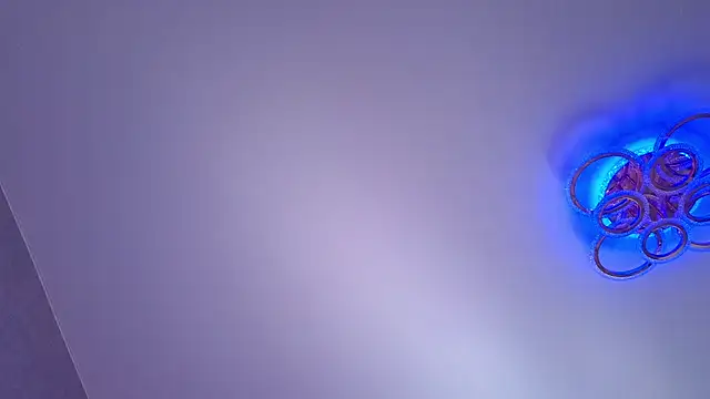 PerryKitty's Live XXX Chat