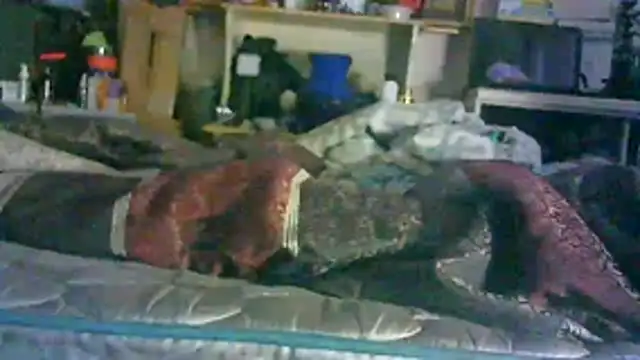 Show webcam de CR3M3_FIR3