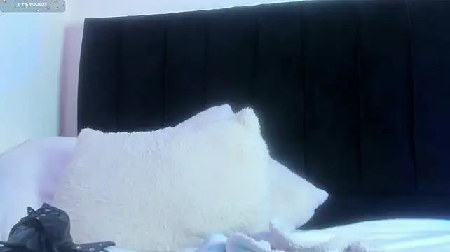 dolly_zoe 라이브 XXX 채팅