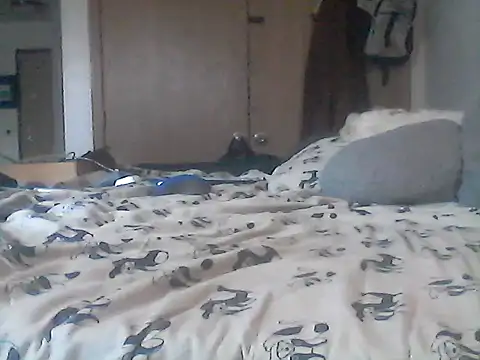 Show Webcam de Silencio26