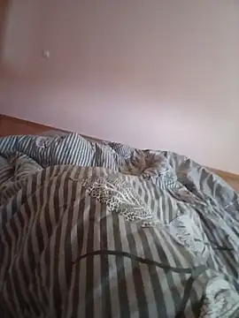 Chat XXX Live paradise777777