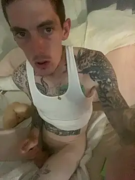 Show webcam de dkub93