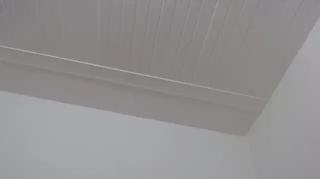 צ'אט XXX בשידור חי של ElizabethMiler