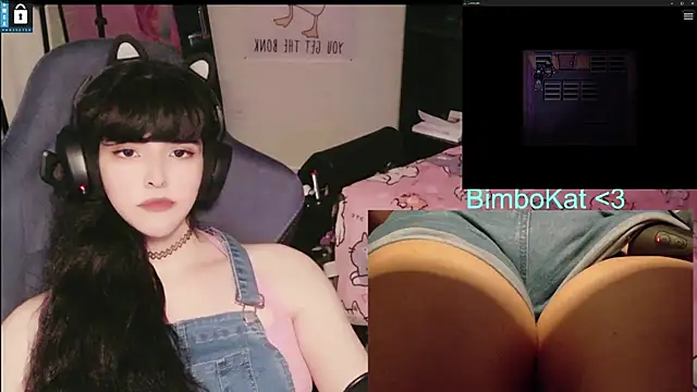 BimboCat Live XXX-Chat