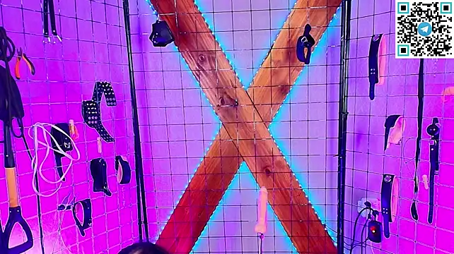 ani_slave_bdsm's Live XXX Chat