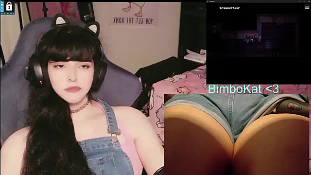 دردشة BimboCat الجنسية المباشرة