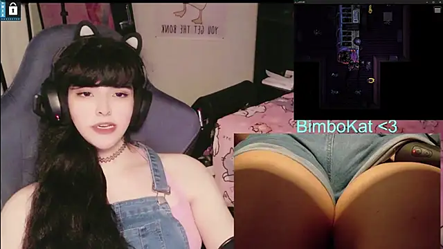 צ'אט XXX בשידור חי של BimboCat