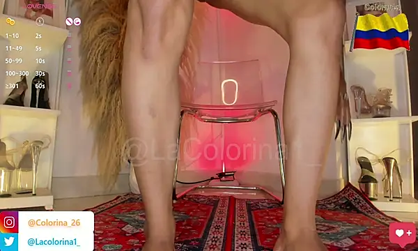 Lacolorinaa 라이브 XXX 채팅