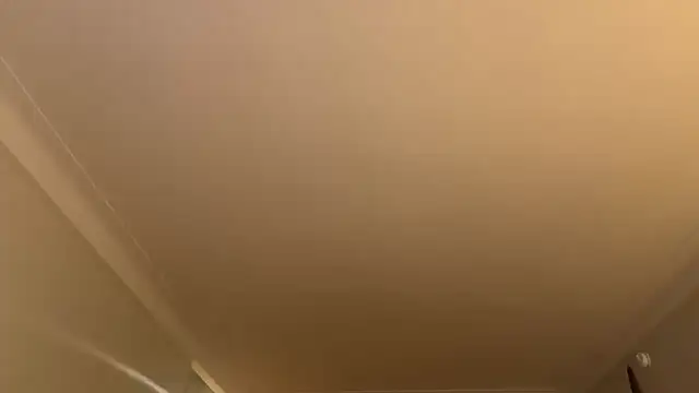 pupp3txox 라이브 XXX 채팅