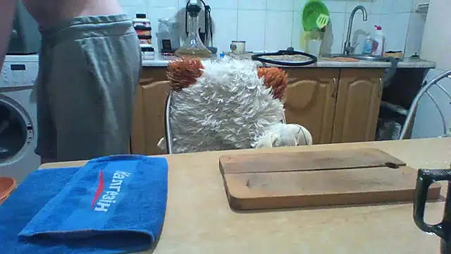 XXX chat uživo modela KaelNox