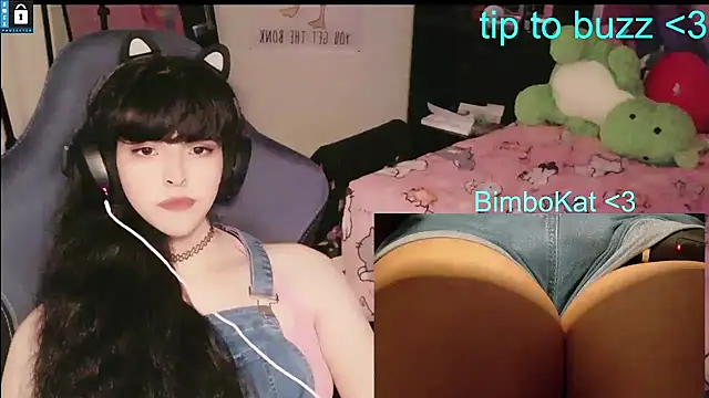BimboCat – Live XXX-chat
