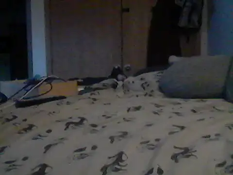 Chat XXX en directo de Silencio26