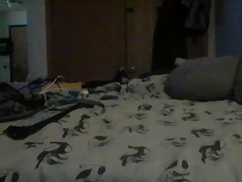 Silencio26 Live XXX-chat