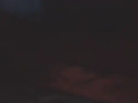 SHARPSkinhead Live XXX-chat